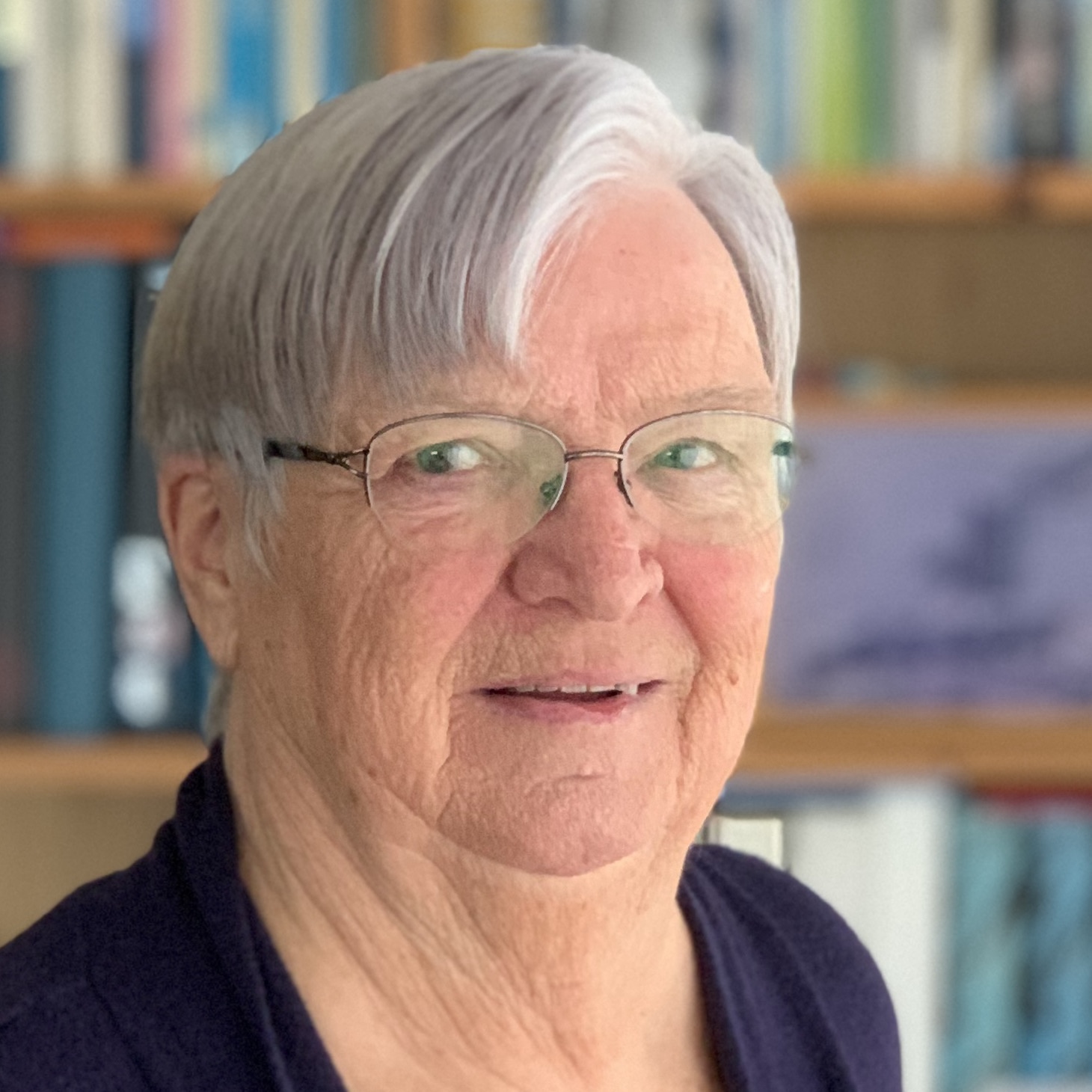 Sietske van Oogen, Voorzitter Breed Overleg Plus