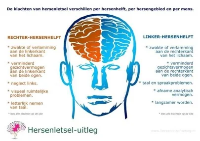 Infographic over de specifieke klachten en symptomen per hersenhelft bij hersenletsel.